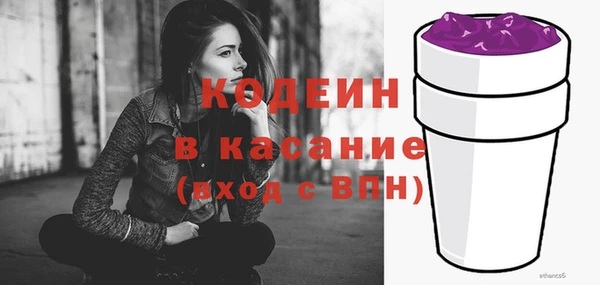 шишки Верея